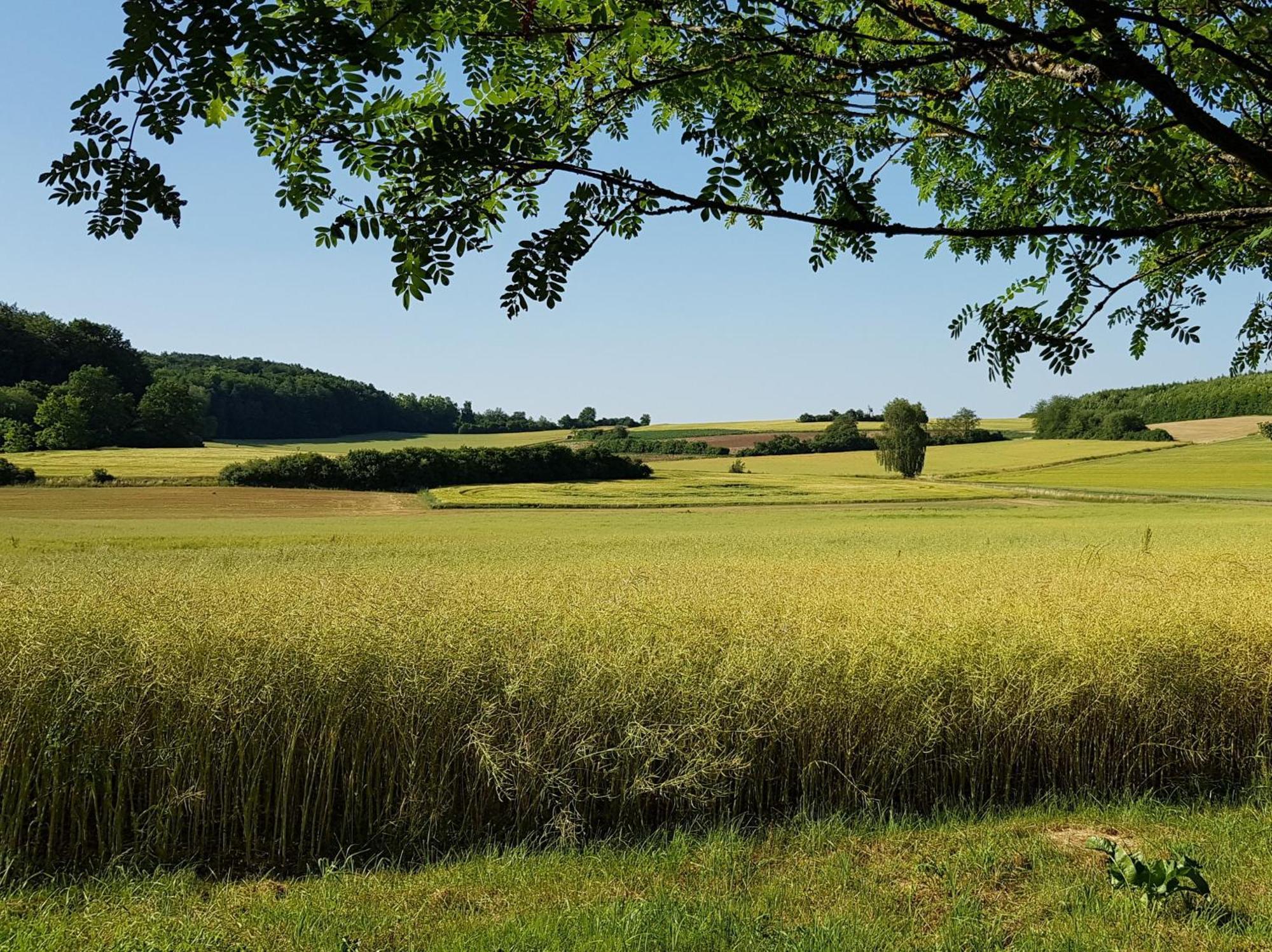 Ferienhaus Forstblick Betzenstein Екстер'єр фото